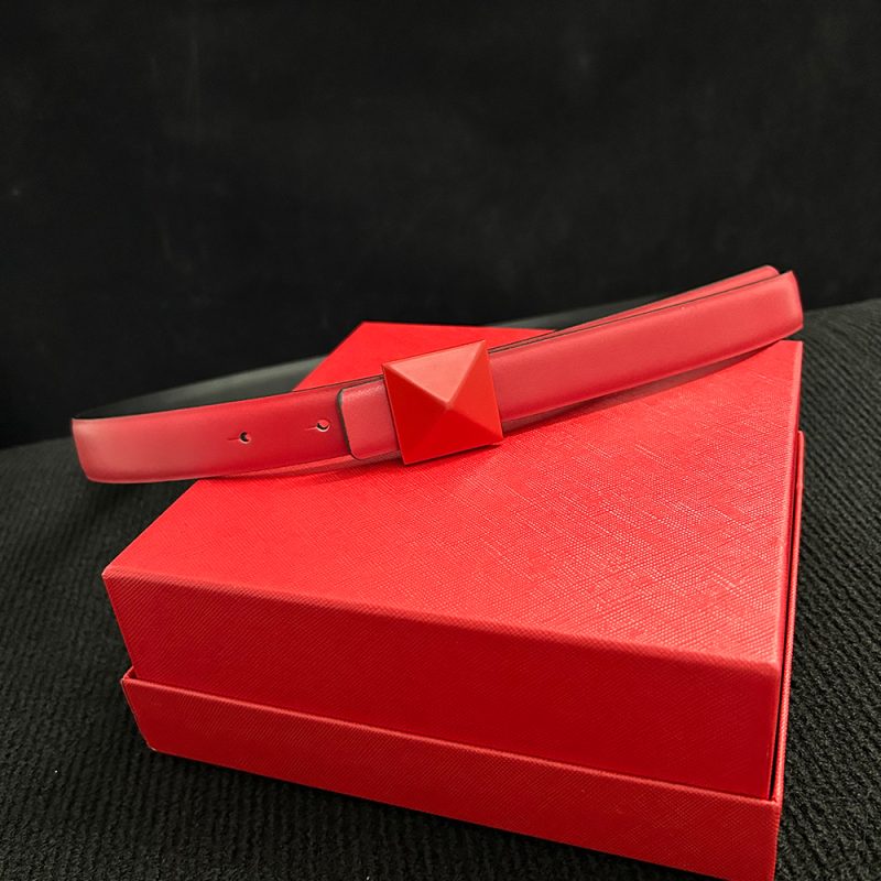 Female Belt Luxury Brand Waist Chain Jeans Dress Leather Women Accessories Retro Pyramid Buckle Double Sided Use Belts 2.5cm - Image 3