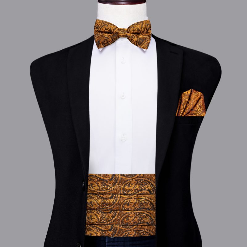 YF-2006 Hi-Tie Luxury Designer Paisley Red Cummerbund Bow tie Set Formal Tuxedo Corset Elastic Belt for Men Wedding Cummerbunds - Image 9