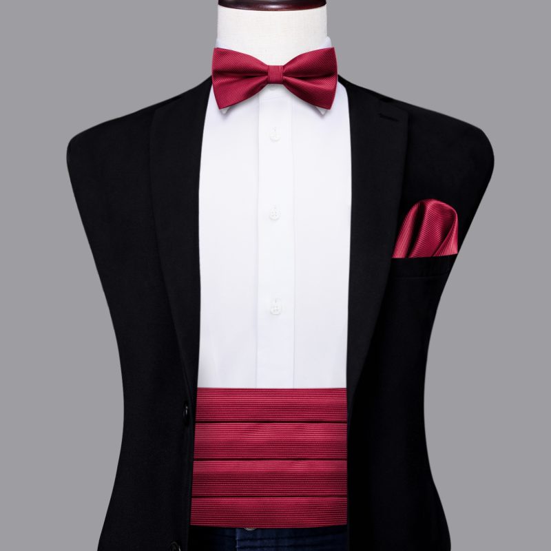 YF-2006 Hi-Tie Luxury Designer Paisley Red Cummerbund Bow tie Set Formal Tuxedo Corset Elastic Belt for Men Wedding Cummerbunds - Image 13