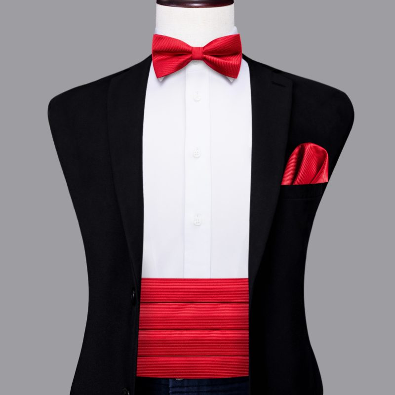 YF-2006 Hi-Tie Luxury Designer Paisley Red Cummerbund Bow tie Set Formal Tuxedo Corset Elastic Belt for Men Wedding Cummerbunds - Image 14