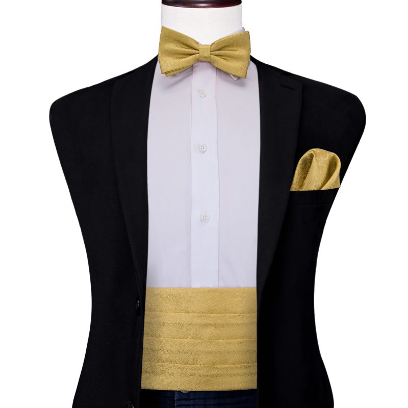 YF-2006 Hi-Tie Luxury Designer Paisley Red Cummerbund Bow tie Set Formal Tuxedo Corset Elastic Belt for Men Wedding Cummerbunds - Image 19